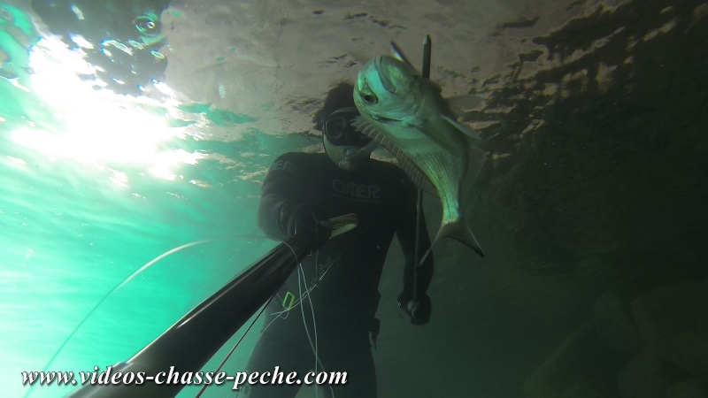 Chasse sous-marine en méditerranée